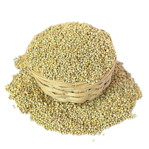 Pearl Millet